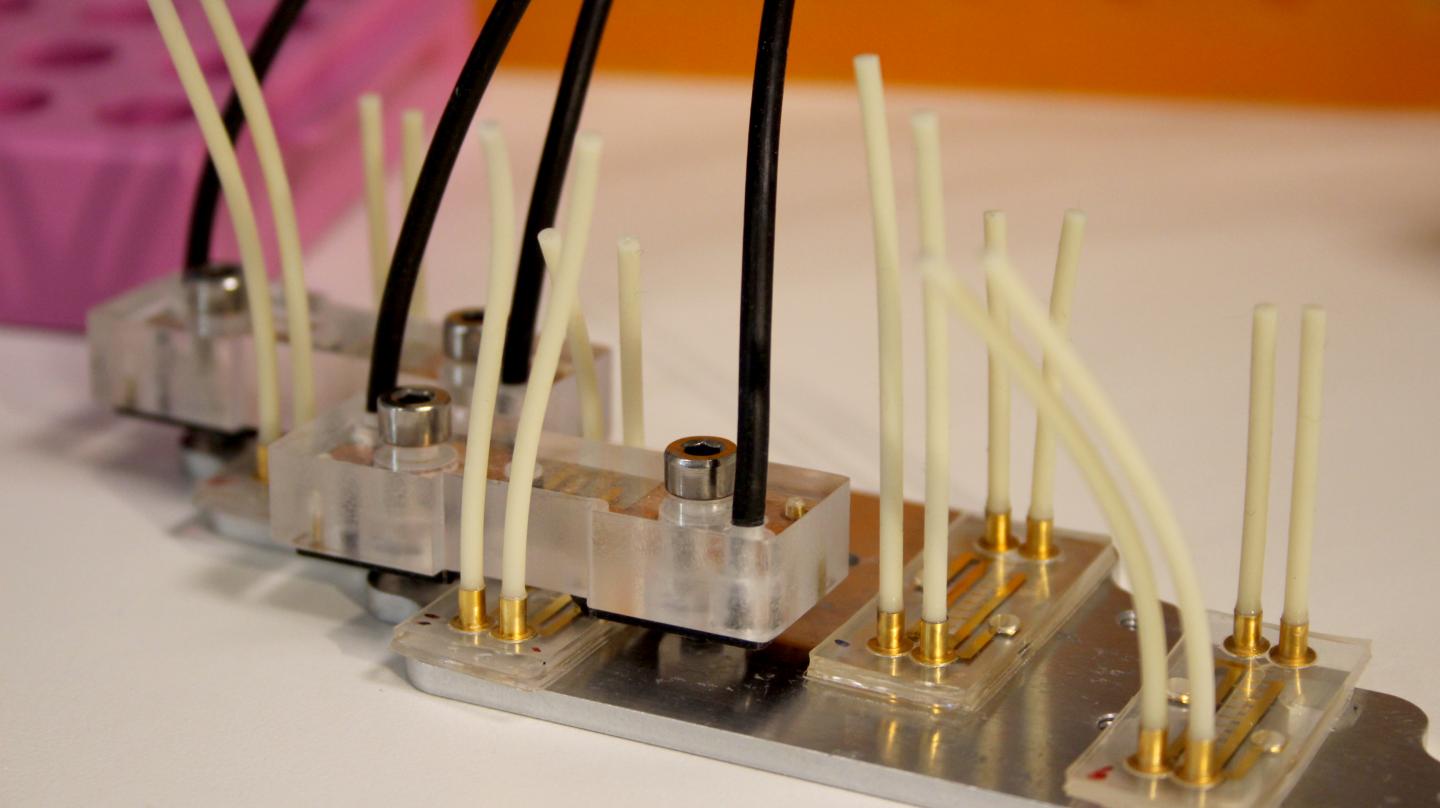 Close-up of brain-on-chip