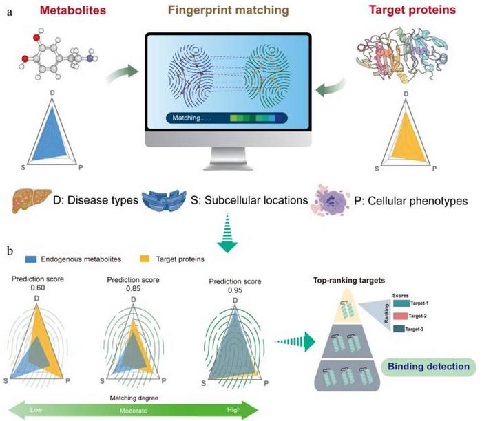 Hypothesis of biological similarities of metabolites and its potential targets guides the development of DeepETD.
