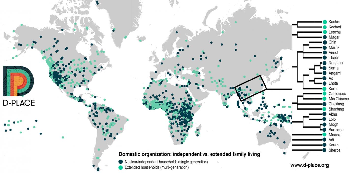 Advances in Methods and Data Reveal the Broad Patterns of Cultural Evolution