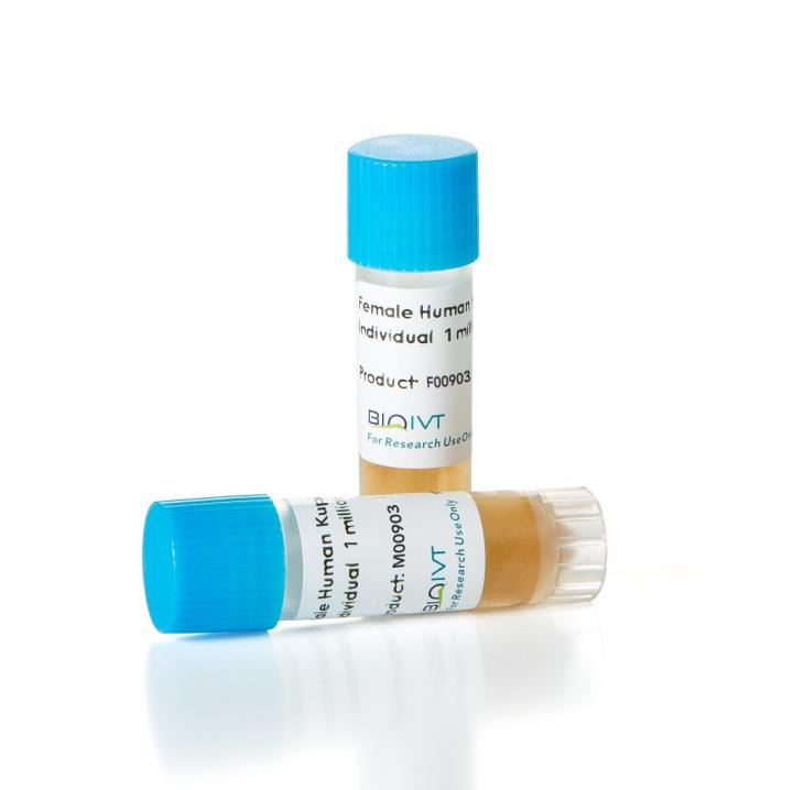 BioIVT introduces high-purity Kupffer cells