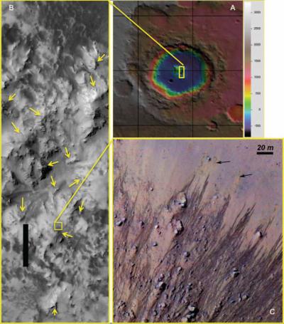 Martian Slopes Sprout Dark Streaks in Warm Seasons (3 of 5)