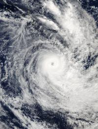Aqua Image of Donna