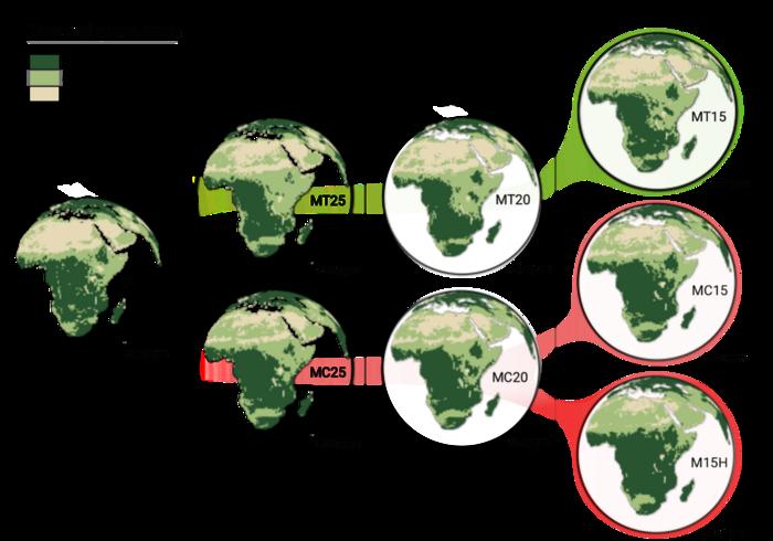Dominant vegetation types across Africa in Miocene climate simulations.