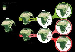 Dominant vegetation types across Africa in Miocene climate simulations.