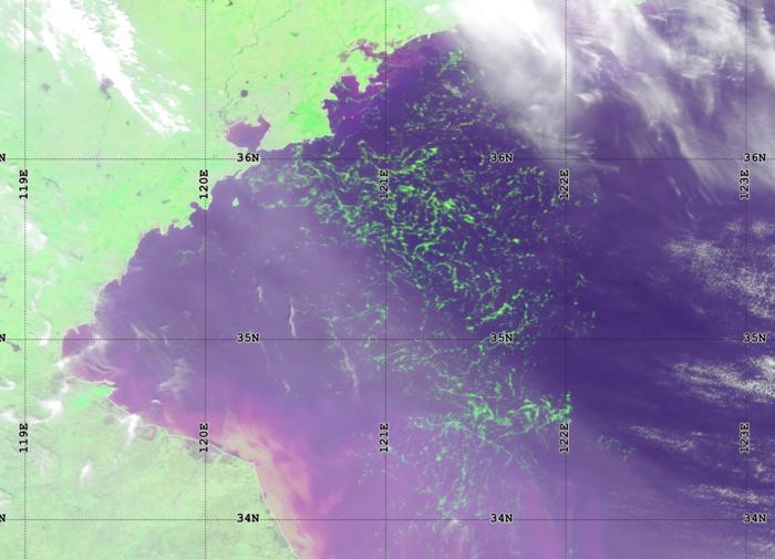 sat image ulva macroalgae in yellow sea- Credit NOAA Star