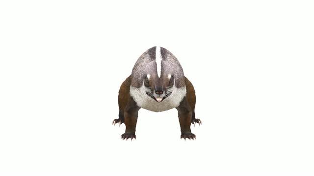 Adalatherium