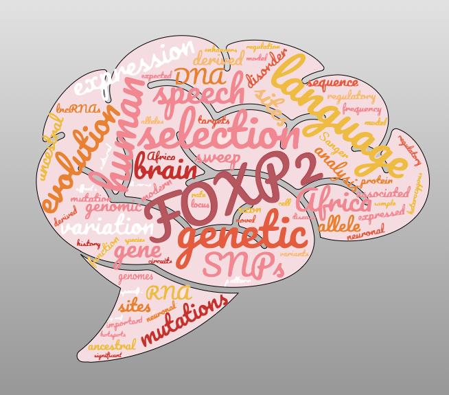 Study Challenges Evolution of How Humans Acquired Language