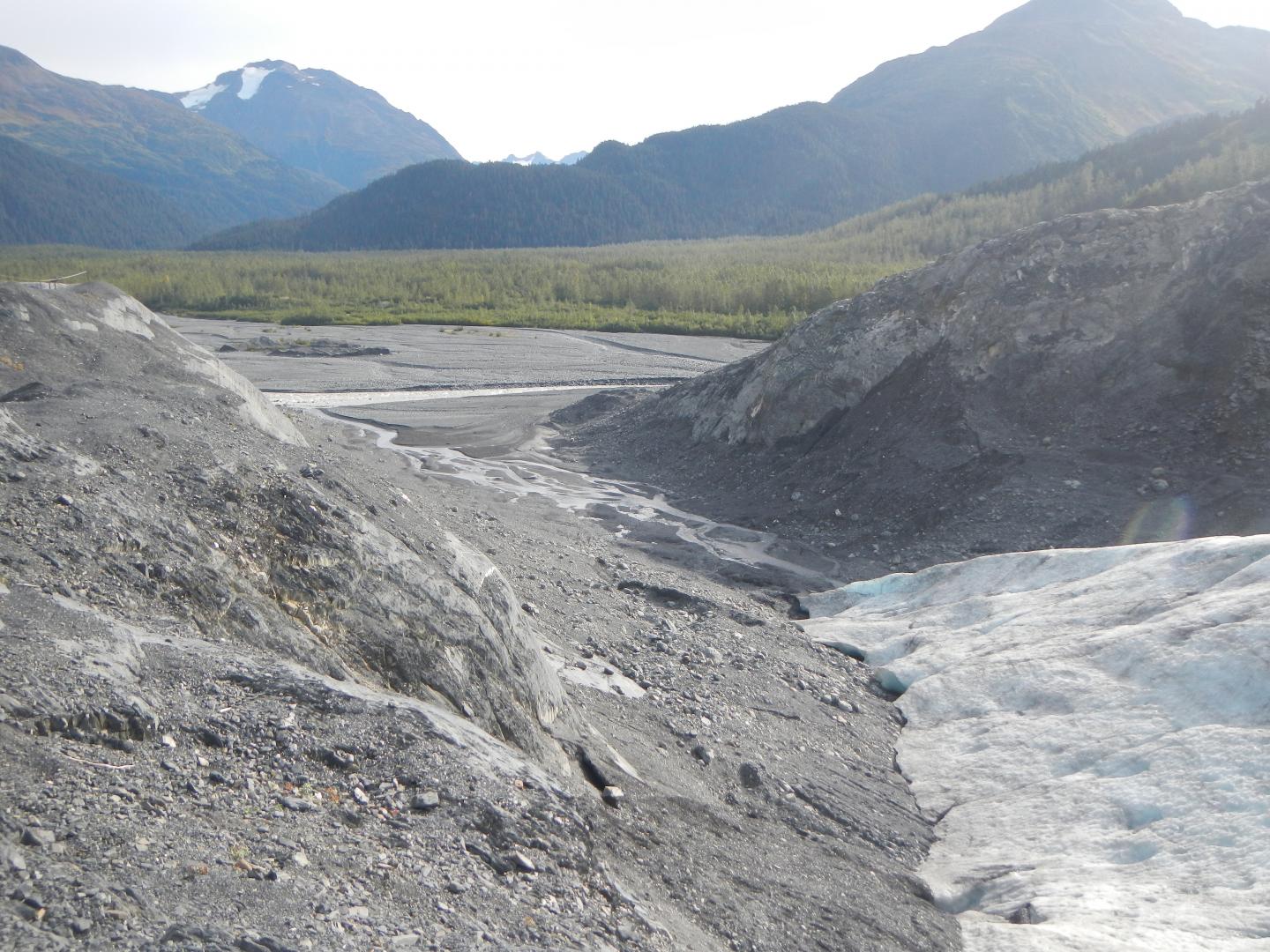 Exit Glacier