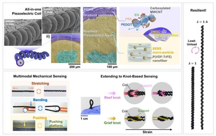 KAIST Develops Next-Generation Self-Powered Wearable Sensor Resilient to 668% Elongation