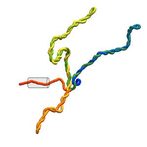 Plectonemes are DNA supercoils that can form when the molecule passes through extremely narrow channels