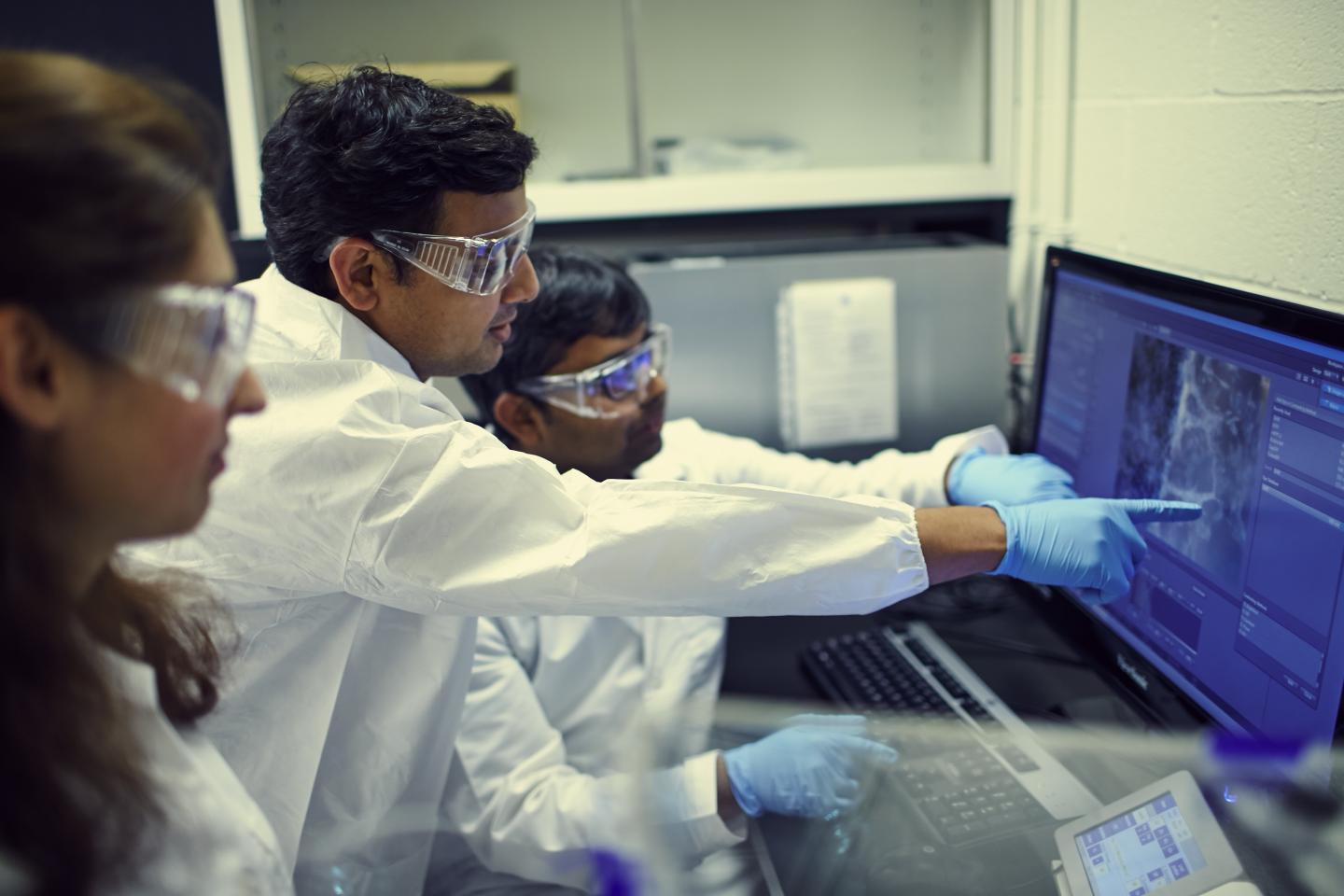 Exploring Group Cell Behavior