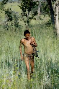 Tribe Foraging