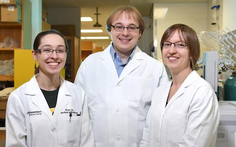 Winter Lab Group