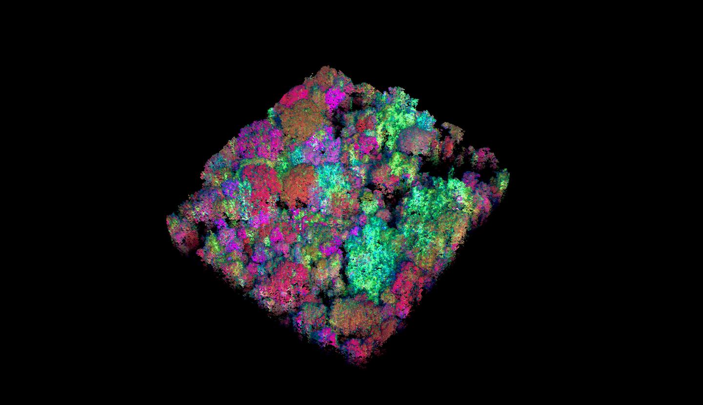 Macroscopic Model of a Monolayer of Chemically Bonded Gold Nanoparticles