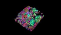 Macroscopic Model of a Monolayer of Chemically Bonded Gold Nanoparticles