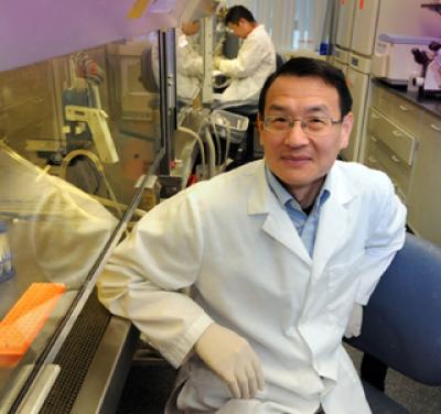 Dr. Lin Mei, 	Georgia Health Sciences University 