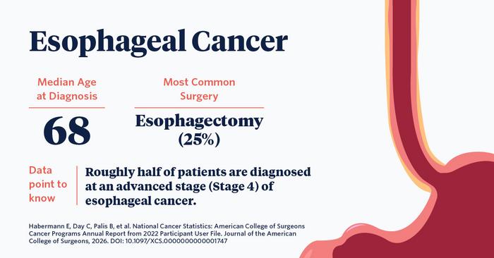 Observations Noted in Second Annual Report from the National Cancer Database