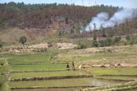 Deforestation in Madagascar