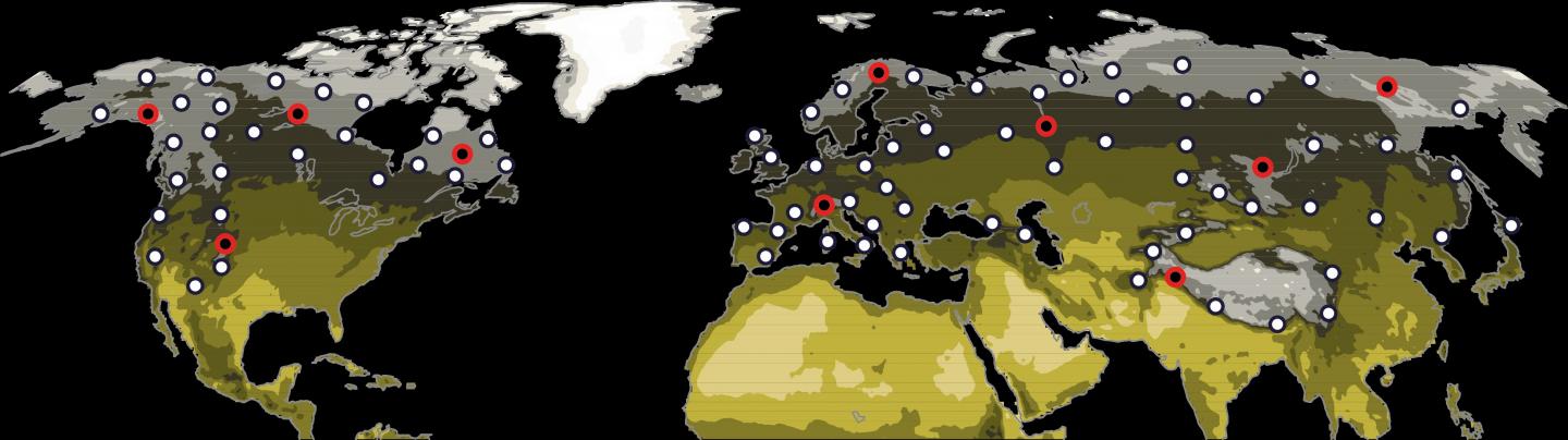 Extratropical tree ring network locations