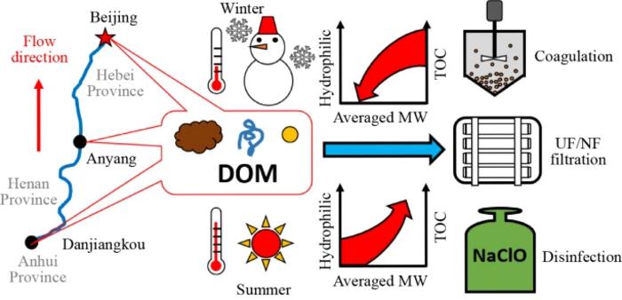 Graphical abstract
