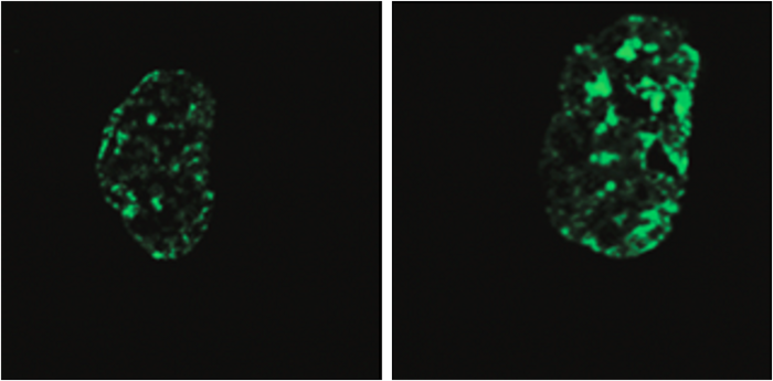 Science image