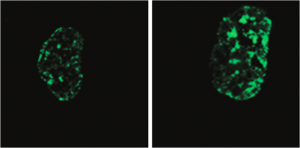 Science image