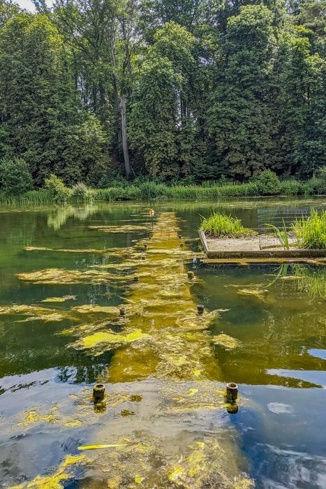 Silex pond in Brussels