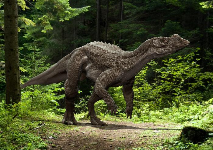 artist's impression