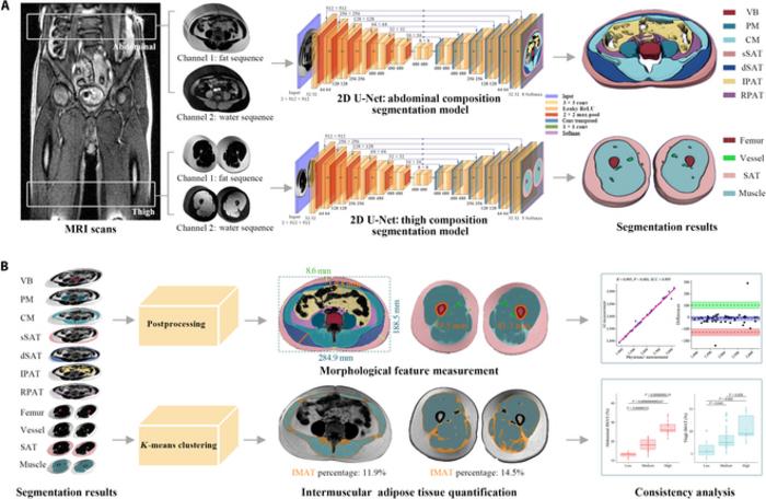Architectural overview of BioCompNet.