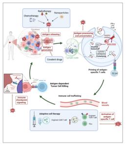 Therapeutic strategies for cancer-based on redox regulation