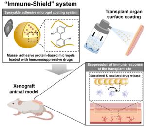 Immune-Shield system
