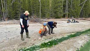 Fieldwork