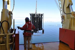 Researchers collecting samples