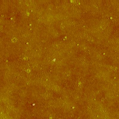 Silver Nanoparticles (1 of 2)