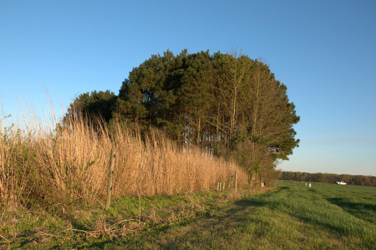 Buffer Plots