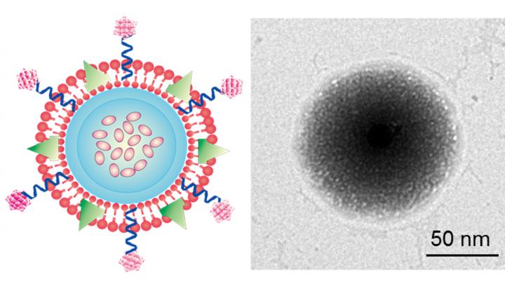 Disguising Anti-Cancer Drugs as Platelets