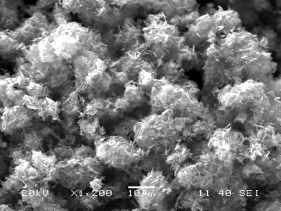 LMP Electrodes