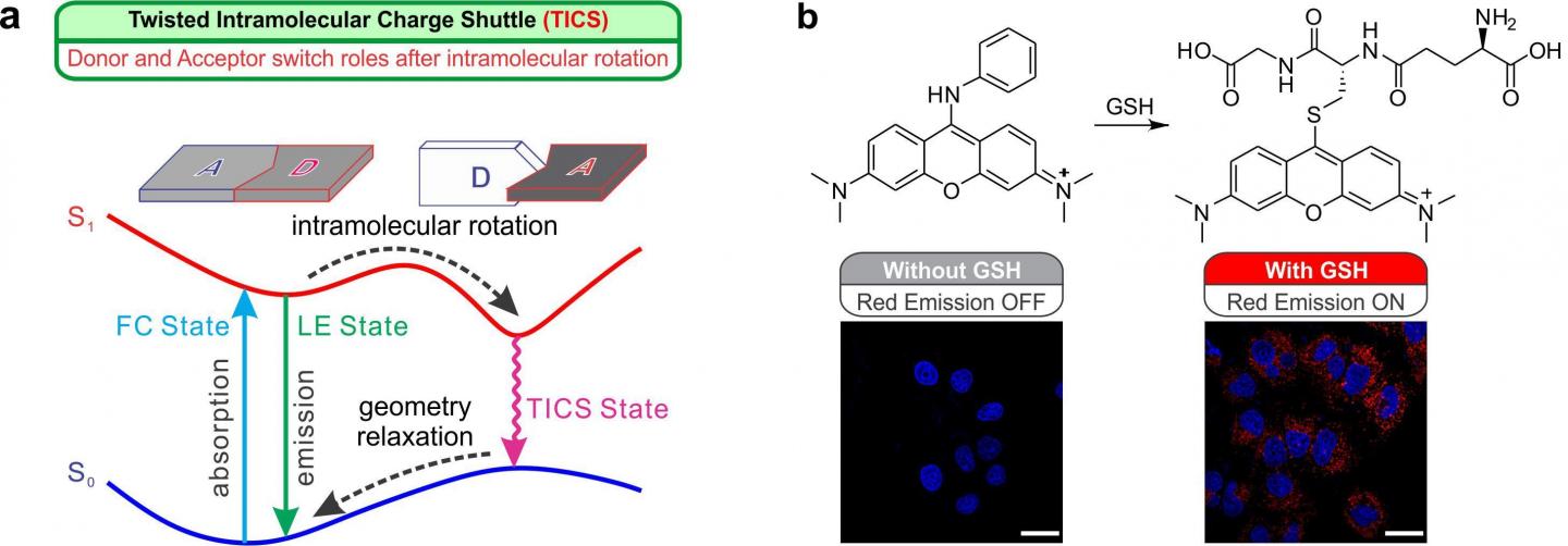 Twisted Intramolecular Charge Shuttle (TICS)