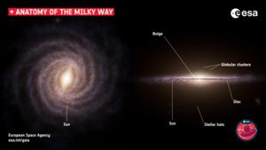 Anatomy of the Milky Way