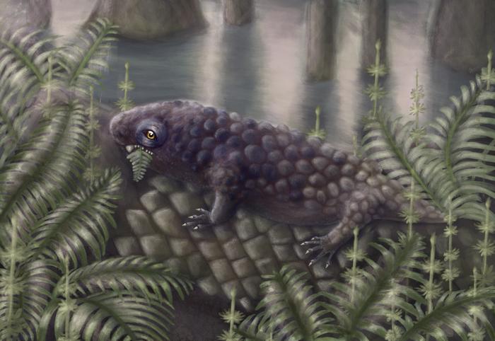 Reconstruction
