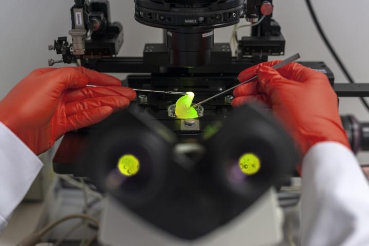 Study of Nanostructure