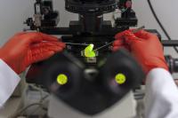 Study of Nanostructure