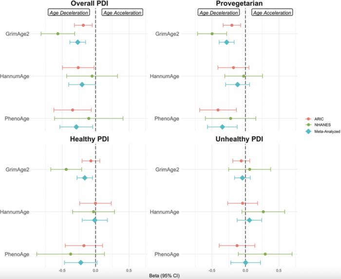 Plant-based dietary patterns are associated with slower epigenetic aging