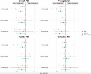 Plant-based dietary patterns are associated with slower epigenetic aging