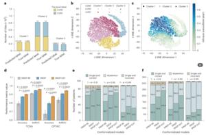 PolyU research team develops trustworthy AI framework TRUECAM to enhance reliability of pathology AI in cancer diagnosis