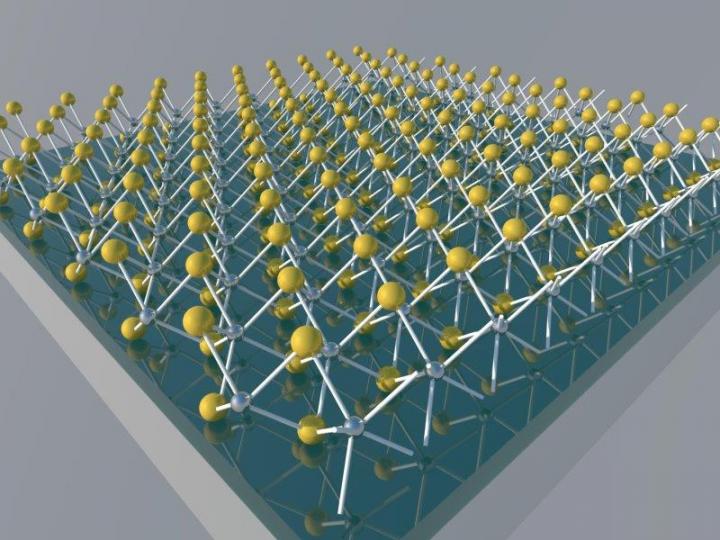 MoS2 Nanocavity