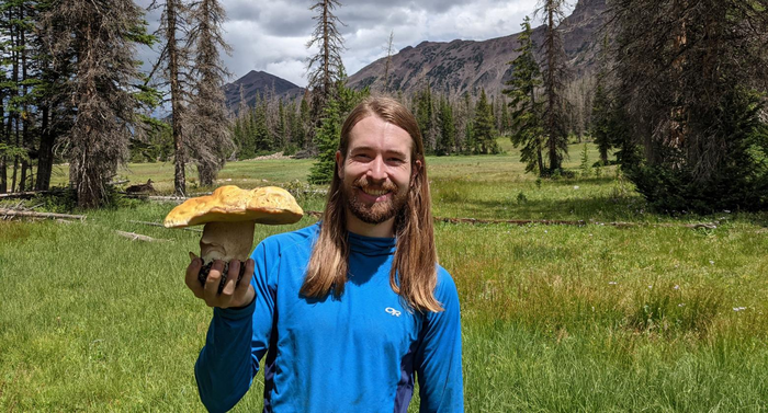 Prominent porcini