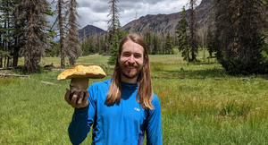 Prominent porcini