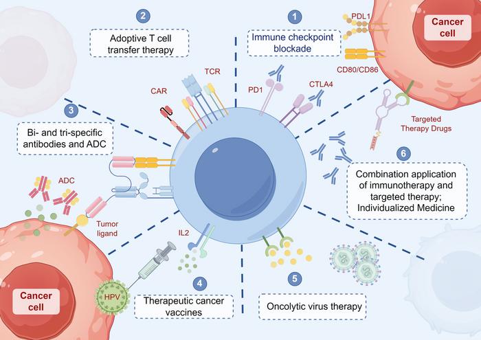 The immunotherapy and application prospects of gynecological tumors