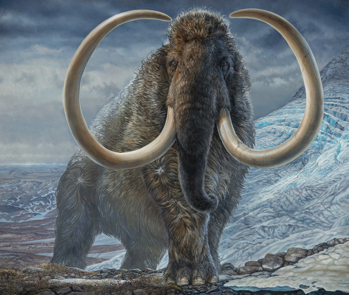 Mammoth_painting_Havens.jpg
